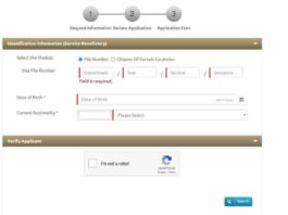 UAE visa fine check